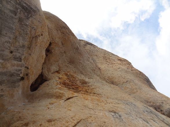 Le départ des ailes