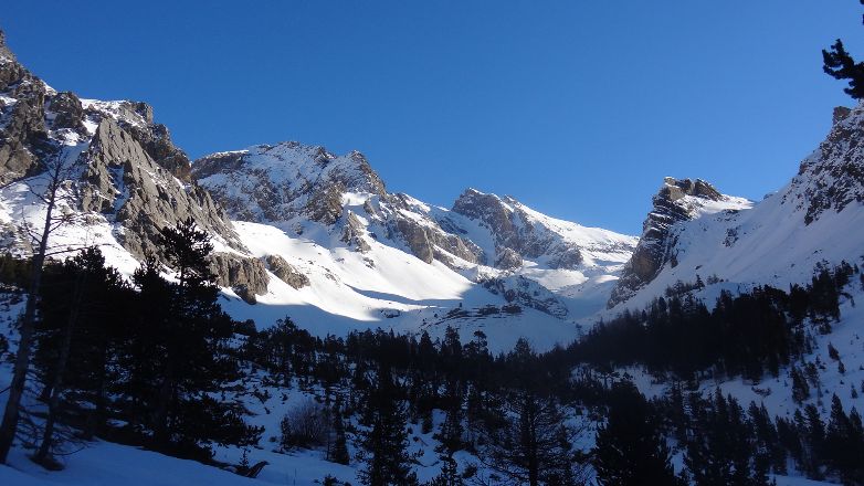en sortant de la fôret