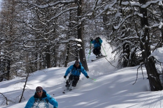 Tree skiing in Queyras