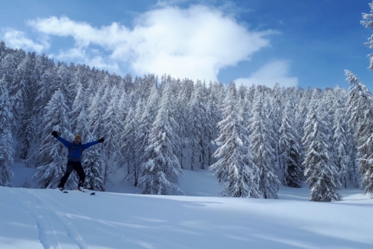 Ski Melèzes